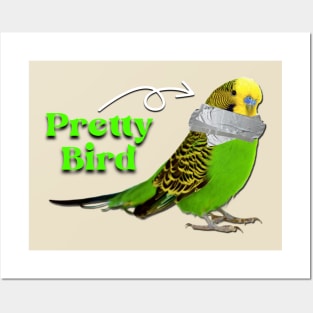 Pretty Bird Posters and Art
